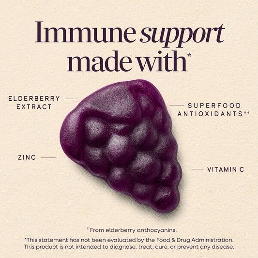 Nature's Way Sambucus Kids Elderberry Immune Gummies with Black Elderberry Extract, Daily Immune Support Gummy with Vitamin C and Zinc for Children Ages 2+*, 60 Gummies