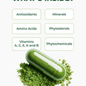 PURA VIDA MORINGA Organic Moringa Capsules, Pure Moringa Leaf Powder Single Origin for Energy, Metabolism & Immune Support, 120ct, 500mg Caps
