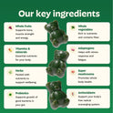 Gruns Adults Super Greens Gummies, Multivitamin Superfood Gummy Bears, Spirulina, Chlorella, Prebiotics & Fiber Gummies for Digestive Health, Adaptogens Supplement, 20 Vitamins & Minerals, 10 Count