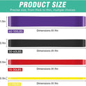 Alllvocles Resistance Band Set for Men and Women