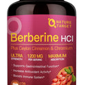 NATURE TARGET Berberine HCL 1200mg, Berberine Supplement with Ceylon Cinnamon, Chromium - Supports Immune, Gastrointestinal & Digestive Health, Non-GMO, 120 Capsules
