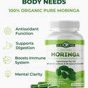 PURA VIDA MORINGA Organic Moringa Capsules, Pure Moringa Leaf Powder Single Origin for Energy, Metabolism & Immune Support, 120ct, 500mg Caps