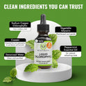 Benevolent Nourishment Chlorophyll Supplement, Detox & Immune Support, Internal Deodorizer, Liquid Drops