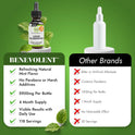Benevolent Nourishment Chlorophyll Supplement, Detox & Immune Support, Internal Deodorizer, Liquid Drops