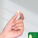 Horbäach Odorless Garlic Softgel Supplement | 200 Pills | Ultra Potent Concentrated Herbal Extract | Non-GMO & Gluten Free