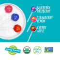 YumEarth Organic Duo Pops, Lollipops with Fruit Chew Centers - Allergy Friendly (Top 9 Free), No Artificial Dyes, Non GMO, Gluten Free, Vegan Candy Snacks - Individually Wrapped Pops (20 Count (Pack of 1))