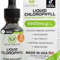 Benevolent Nourishment Chlorophyll Supplement, Detox & Immune Support, Internal Deodorizer, Liquid Drops