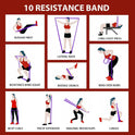 LEEKEY Resistance Bands for Working Out and Fitness Training