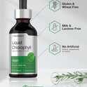 Horbäach Liquid Chlorophyll Drops | 2 fl oz | Natural Peppermint Flavor | Vegan, Non-GMO & Gluten Free Formula