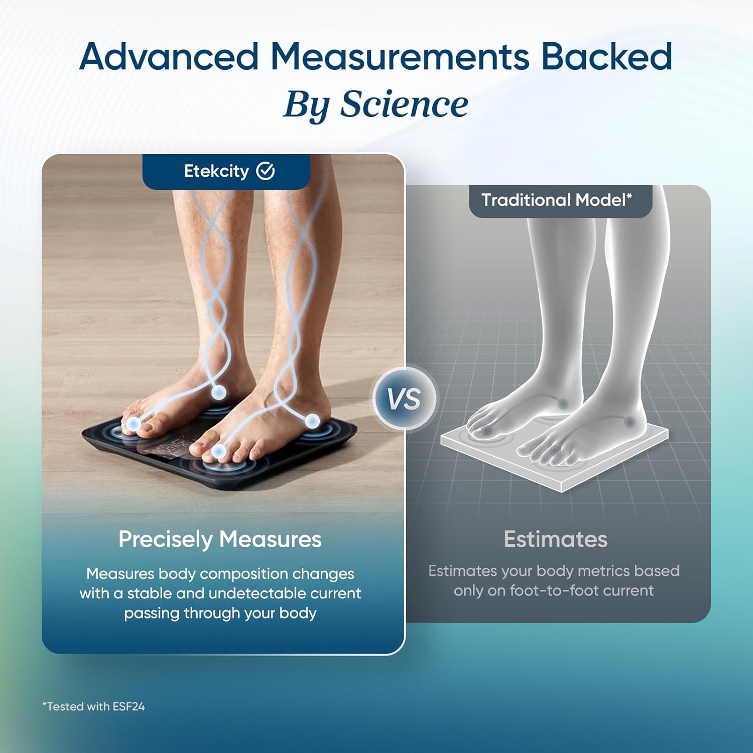 Etekcity Smart Scale with BMI, Body Fat, and 13 Metrics
