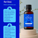 EsoRepair Nano Esophageal & Stomach Health Supplements for Men & Women - Digestive Comfort - Slippery Elm Bark, Zinc L-Carnosine & Aloe Vera Extract - Non-GMO & Dairy Free