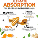 Turmeric Curcumin Supplement - 95% Curcuminoids with Organic Turmeric & Ginger, BioPerine Black Pepper Extract for Best Absorption, Natural Vegan Joint Support, Non-GMO, Bottled in USA - 240 Capsules
