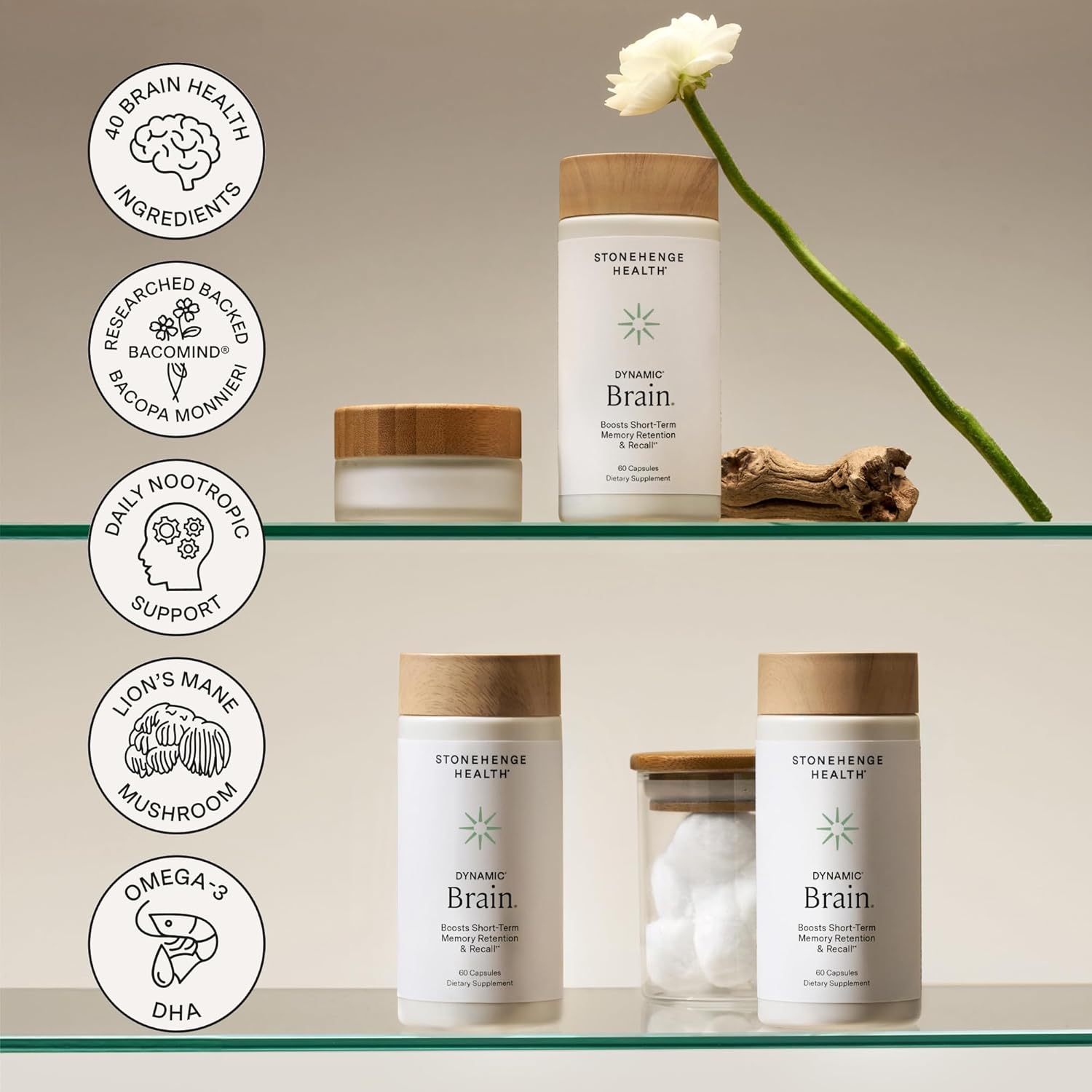 Stonehenge Health Dynamic Brain Bacopa Nootropic Formula with Phosphatidylserine and DHA