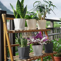 InmeRun Plant Pots Indoor Plastic Flower Pots Outdoor 5 inch Set of 6 Pack with Drainage Holes and Saucers for Garden Pots (5 in 6 pcs)