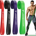 LEEKEY Resistance Bands for Working Out and Fitness Training