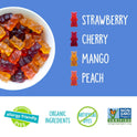 YumEarth Organic Gummy Bears - Fruity Gummy Candy Snack Packs, Gluten Free Snacks for Kids - Allergy Friendly, Non-GMO, No Artificial Dyes - Assorted Flavors, 10.5 oz. (Pack of 15)