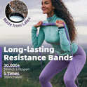 Fitense Resistance Bands Set - Pull Up Bands for Men & Women, 4 Levels, Anchor, Poster & Pouch