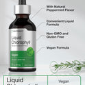 Horbäach Liquid Chlorophyll Drops | 2 fl oz | Natural Peppermint Flavor | Vegan, Non-GMO & Gluten Free Formula