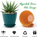 6 inch Plant Pots, 5 Pack Flower Pots Outdoor Indoor, Planters with Drainage Holes and Tray Saucers（Multicolor）