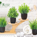 Der Rose Fake Plants 4 Packs Artificial Plants Small Faux Plants Black Bathroom Accessories for Halloween Bathroom Home Kitchen Coffee Table Office Desk Decor Indoor