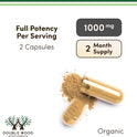 Organic Lions Mane Mushroom Capsules (120 Count), for Focus Support and Immune Health, Third Party Tested and Grown in The USA - by Double Wood