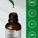Horbäach Liquid Chlorophyll Drops | 2 fl oz | Natural Peppermint Flavor | Vegan, Non-GMO & Gluten Free Formula
