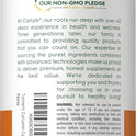Carlyle Turmeric Curcumin with Black Pepper | 180 Capsules | Turmeric Complex Supplement | Non-GMO, Gluten Free