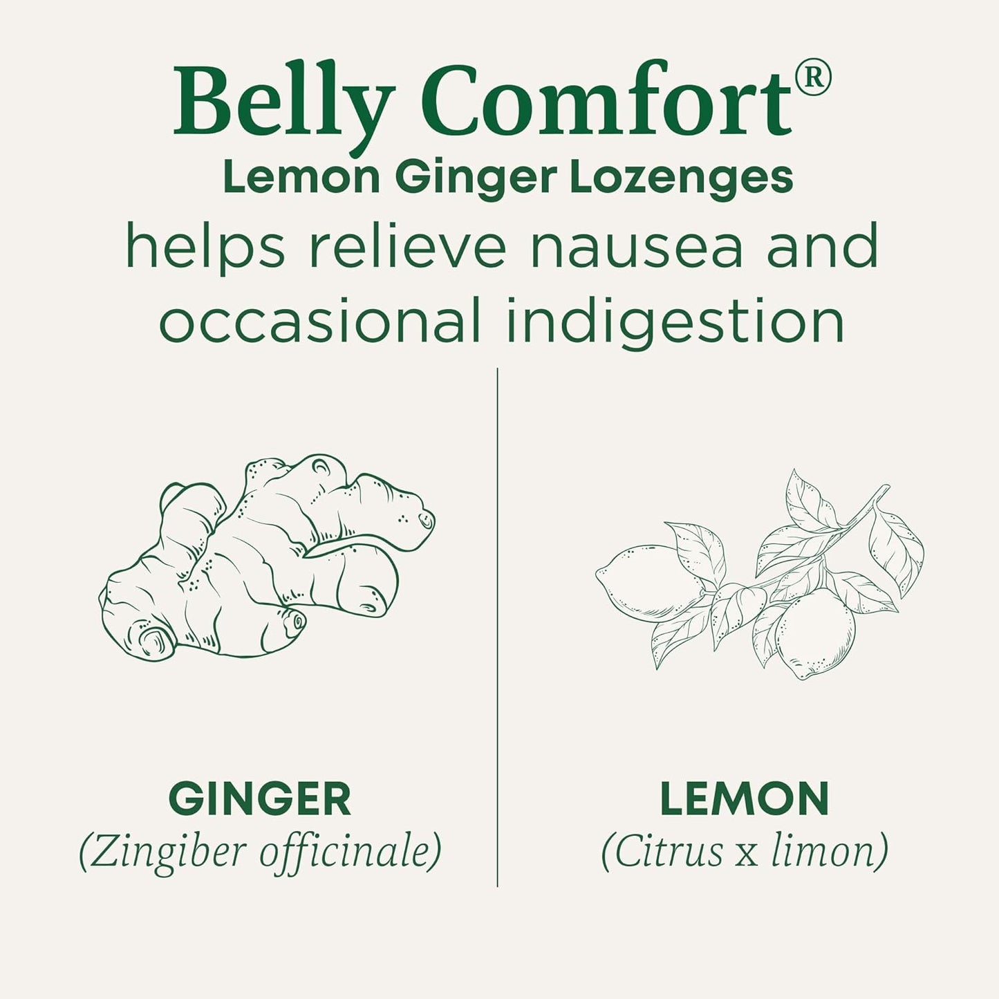 Traditional Medicinals Organic Belly Comfort Lozenges Lemon Ginger