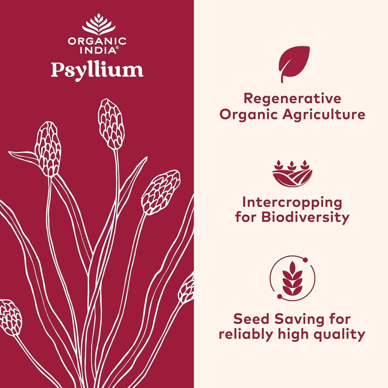 ORGANIC INDIA Psyllium Herbal Powder - Whole Husk Fiber, Vegan, Gluten-Free, USDA Certified Organic, Non-GMO, Soluble & Insoluble Fiber Source - 12 Oz Canister (Pack of 1)