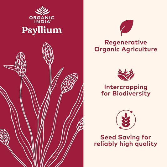 ORGANIC INDIA Psyllium Herbal Powder - Whole Husk Fiber, Vegan, Gluten-Free, USDA Certified Organic, Non-GMO, Soluble & Insoluble Fiber Source - 12 Oz Canister (Pack of 1)