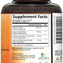 Turmeric Curcumin Supplement - 95% Curcuminoids with Organic Turmeric & Ginger, BioPerine Black Pepper Extract for Best Absorption, Natural Vegan Joint Support, Non-GMO, Bottled in USA - 240 Capsules
