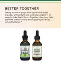 Chlorophyll Liquid Drops - for Digestion, Gut Health, Energy and Detox - Vegan Safe (Rich, Full Texture and Taste, Not Watered Down), 2oz Peppermint Flavored, by Double Wood