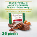 RUSSELL STOVER Sugar Free Pecan Delight Chocolate Candy, 15.5 oz. bag