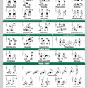 Palace Learning 4 Pack Workout Charts - Dumbbell, Bodyweight, Stretching, Kettlebell Exercises