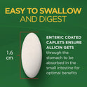 Garlique Garlic Extract Supplement, Healthy Cholesterol Formula, Odorless & Vegan, 60 Caplets