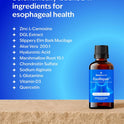 EsoRepair Nano Esophageal & Stomach Health Supplements for Men & Women - Digestive Comfort - Slippery Elm Bark, Zinc L-Carnosine & Aloe Vera Extract - Non-GMO & Dairy Free