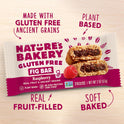 Nature’s Bakery Gluten Free Fig Bars, Raspberry, Real Fruit, Vegan, Non-GMO, Snack Bar, 1 box with 6 twin packs (6 twin packs)