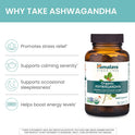Himalaya Organic Ashwagandha Root, 2 Month Supply - Herbal Adrenal Support Supplements for Stress Relief and Energy Support - USDA Organic, Non-GMO, Vegan, Gluten Free, 670 mg, 60 Caplets