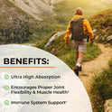 Turmeric Curcumin with Black Pepper Extract 1500mg - High Absorption Ultra Potent Turmeric Supplement with 95% Curcuminoids and BioPerine - Non GMO Tumeric Capsules for Joint Support - 90 Capsules