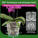 Orchid Pot, 6 Pack Orchid Pots with Holes, 5.5 Inch Clear Plastic Flower Planters for Repotting Indoor Outdoor, Breathable Slotted Nursery Planter