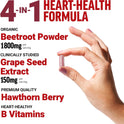 Force Factor Total Beets Blood Pressure Support Beet Root Capsules, 1800mg Organic Beet Root Powder Beet Supplement with Hawthorn Berry to Support Circulation and Blood Flow, 90 Vegetable Capsules