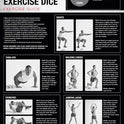 SPRI 6-Sided Exercise Dice - Workout Fitness Game for Classes