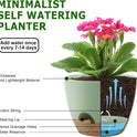 Plant Pots 10/9/8/7.5/7 Inch Self Watering Pots, Set of 5 Plastic Planters with Drainage Holes and Saucers,Plastic Flower Pots,Nursery Planting Pot for Indoor Out Door Plants（Green）