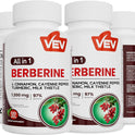 VEV Berberine Supplement with Ceylon Cinnamon, Cayenne Pepper, Turmeric, Milk Thistle, Vegan & Non-GMO – 120 Capsules