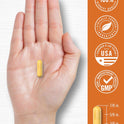 Carlyle Turmeric Curcumin with Black Pepper | 180 Capsules | Turmeric Complex Supplement | Non-GMO, Gluten Free